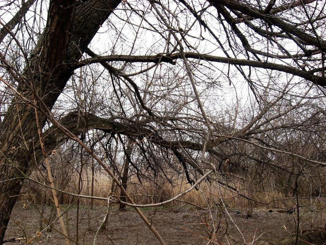 ����� � ������... ) ����� Natali  ��������� �� PhotoGeek.ru #������ ��� ������� #����� ��������������