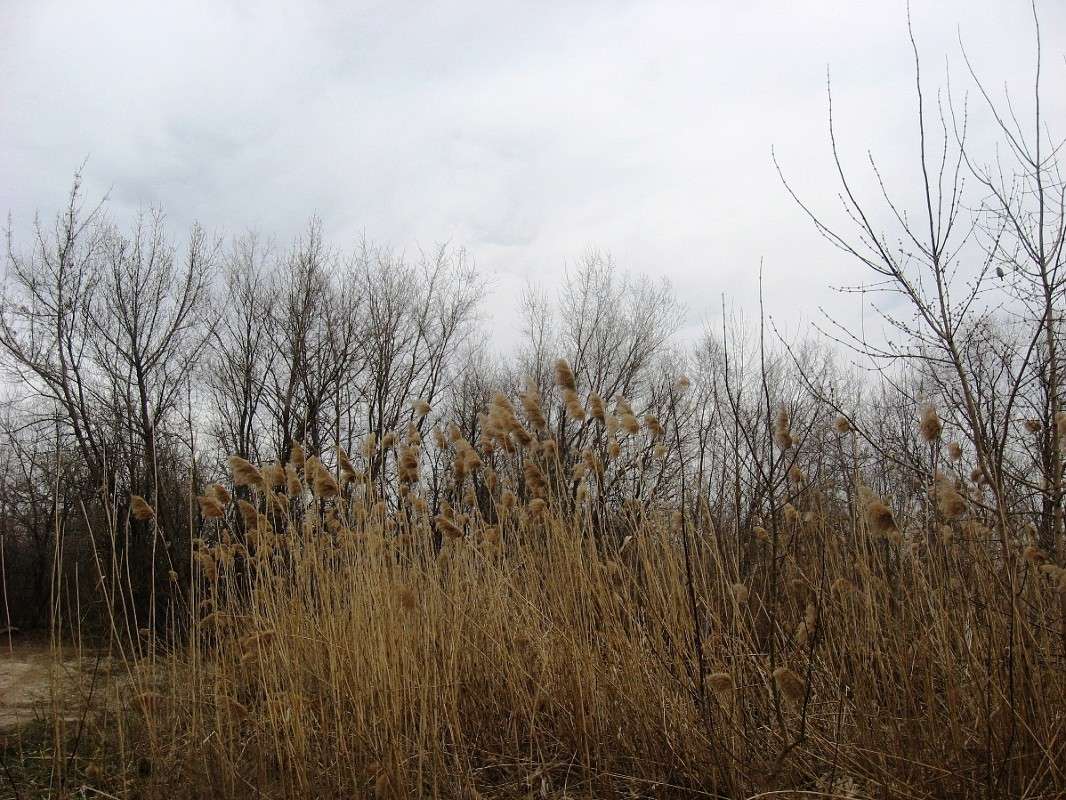 �������� ������ ����... ) ����� Natali  ��������� �� PhotoGeek.ru #������ ��� ������� #����� ��������������