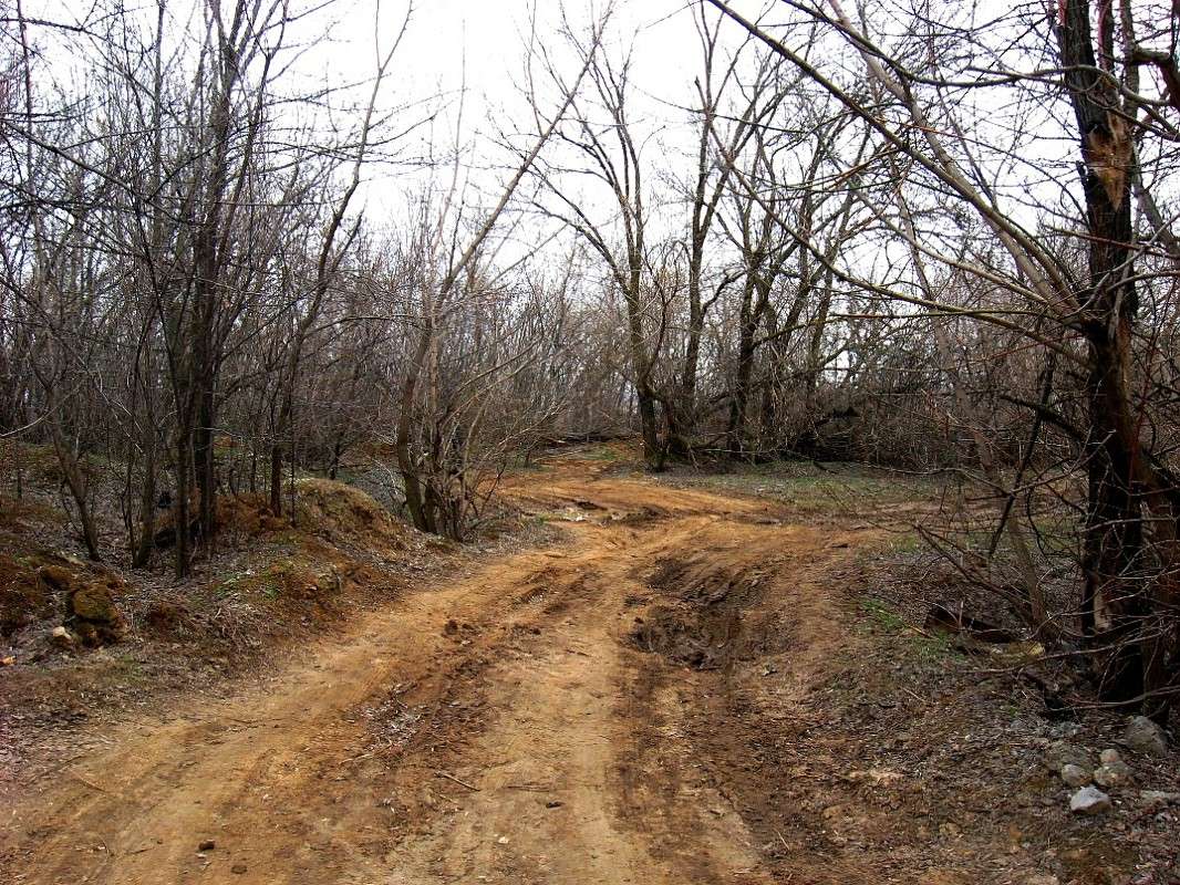 ��, ������.....( ����� Natali  ��������� �� PhotoGeek.ru #������ ��� ������� #����� ��������