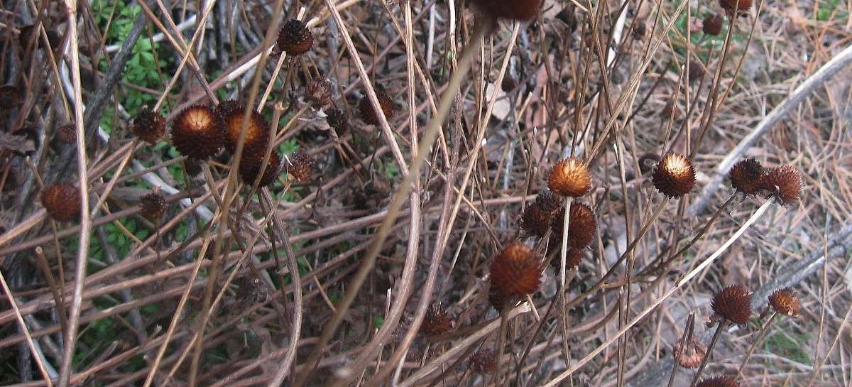 ����� ����...2 ����� Natali  ��������� �� PhotoGeek.ru #������ ��� ������� #����� ��������������