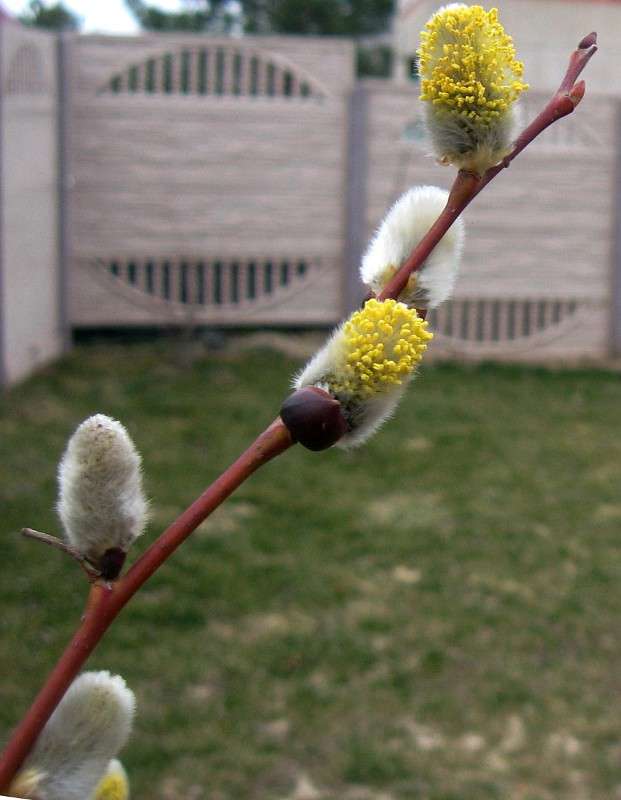 ... ����� Natali  ��������� �� PhotoGeek.ru #����� ��������������