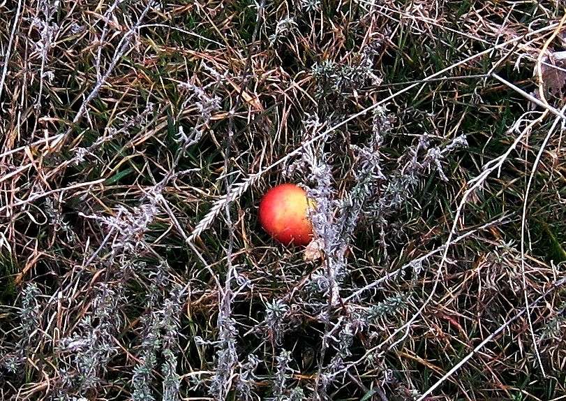 ���-�� �������� ����������...))) �����. ����� Natali  ��������� �� PhotoGeek.ru #������ ��� ������� #����� ��������������