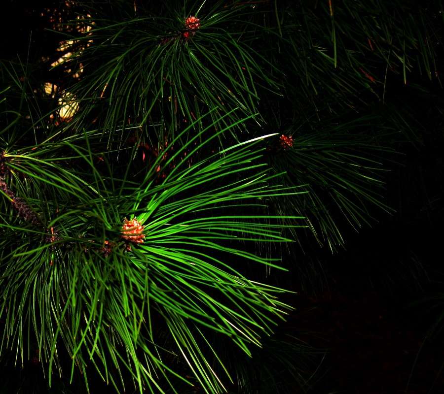 ... ����� Natali  ��������� �� PhotoGeek.ru #������ ��� ������� #����� ��������������