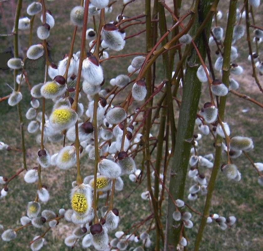 ... ����� Natali  ��������� �� PhotoGeek.ru #������ ��� ������� #����� ��������������