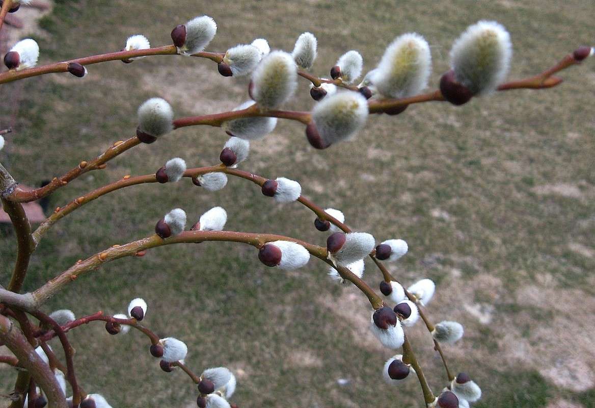 9 ������ 2014 �. ����� Natali  ��������� �� PhotoGeek.ru #������ ��� ������� #����� ��������������