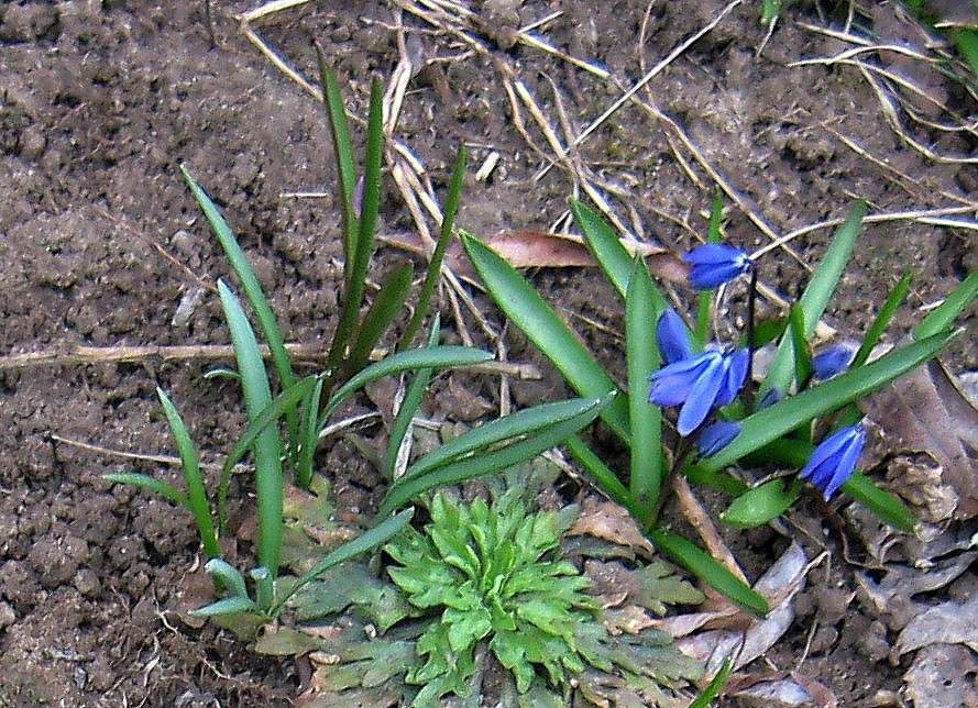 ������ ����� ....9 ������...) ����� Natali  ��������� �� PhotoGeek.ru #������ ��� ������� #����� ��������������