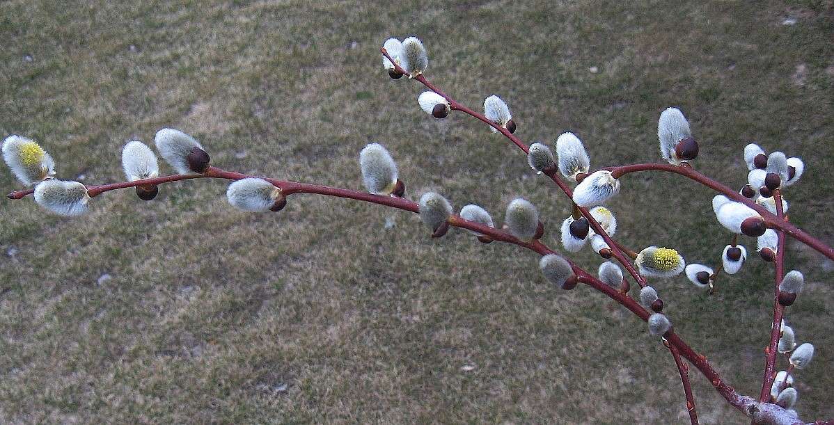 ... ����� Natali  ��������� �� PhotoGeek.ru #������ ��� ������� #����� ��������������