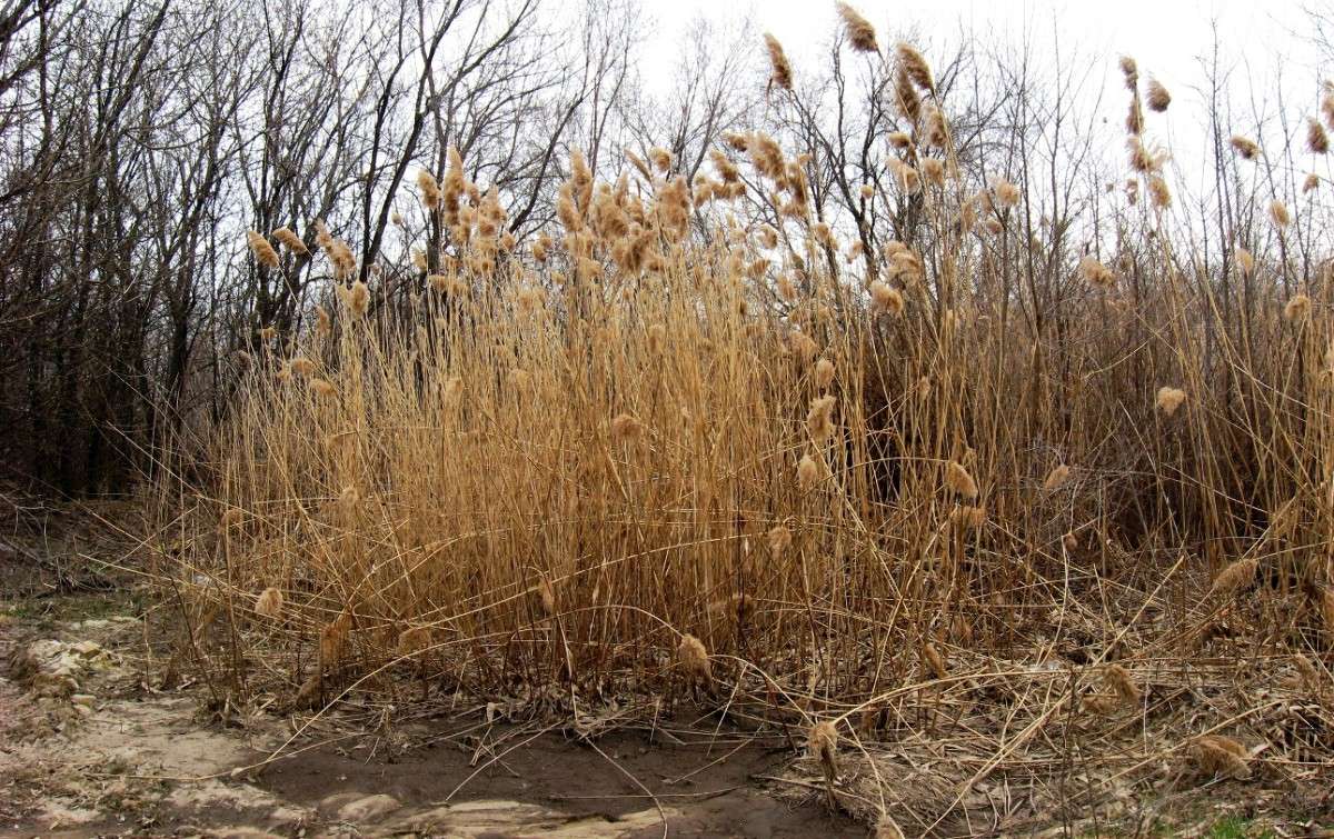 ������.. ����� Natali  ��������� �� PhotoGeek.ru #������ ��� ������� #����� ��������������