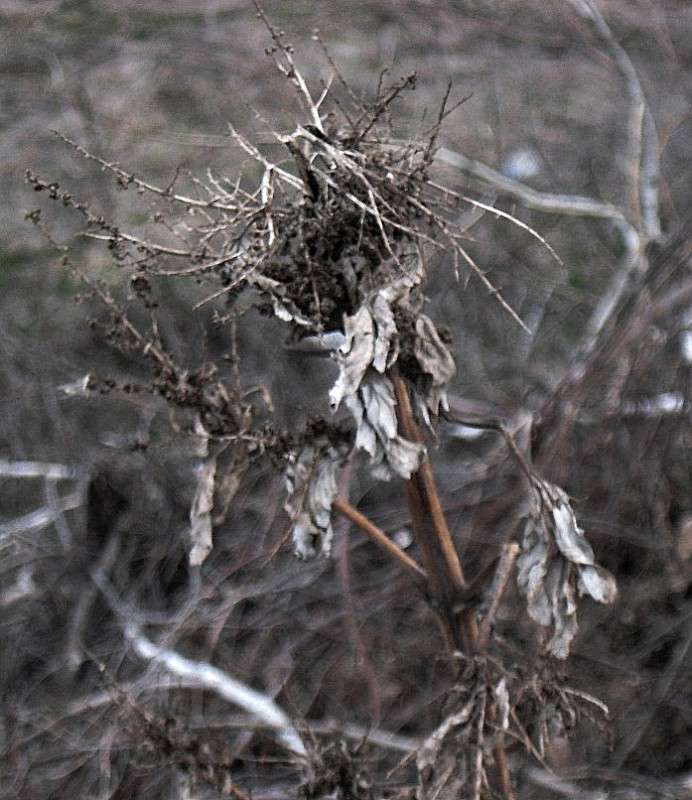 ����� ����....�������... ����� Natali  ��������� �� PhotoGeek.ru #������ ��� ������� #����� ��������������