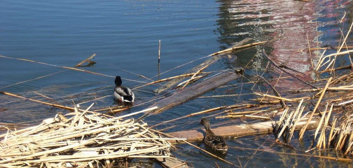 ��� ������ ������...2 ����� Natali  ��������� �� PhotoGeek.ru #�������� ��� #����� ��� ��� ���������