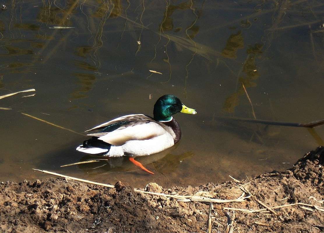 ... ����� Natali  ��������� �� PhotoGeek.ru #�������� ��� #����� ��� ��� ���������