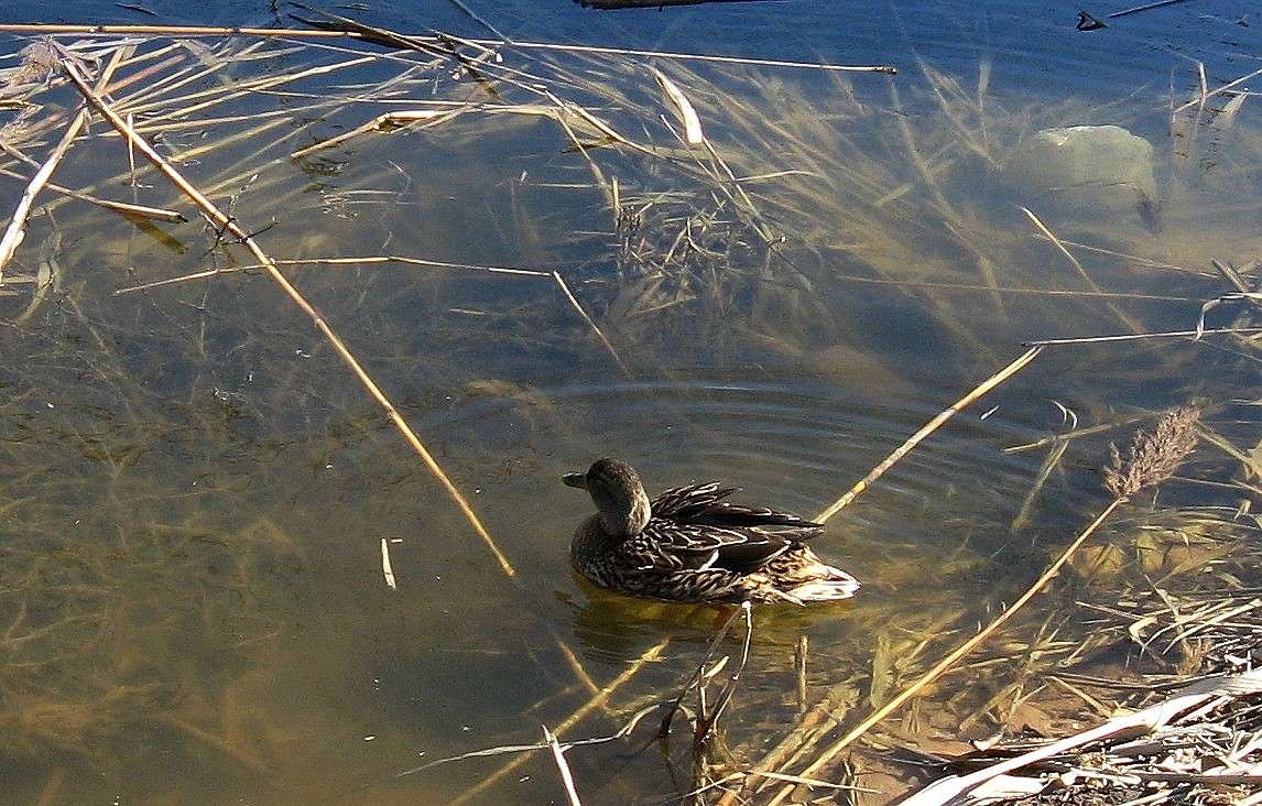 ... ����� Natali  ��������� �� PhotoGeek.ru #�������� ��� #����� ��� ��� ���������