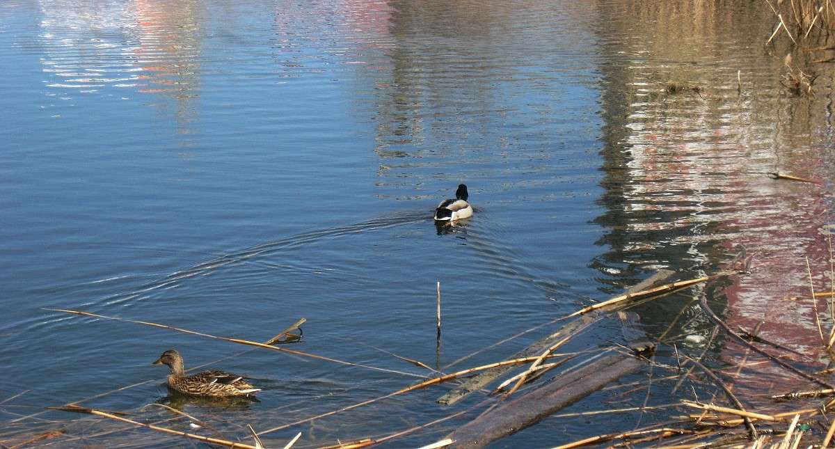 ��� ������ ������...3 ����� Natali  ��������� �� PhotoGeek.ru #�������� ��� #������ ��� ������� #����� ��� ��� ���������