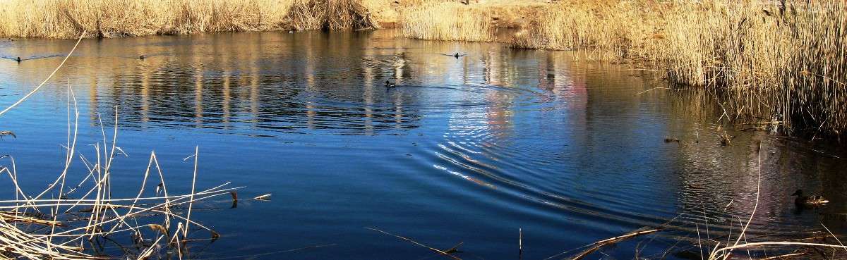 �����, �������� ����� �� ����� ����� Natali  ��������� �� PhotoGeek.ru #����� #�������� ��� #������ ��� ������� #����� ��� ��� ���������