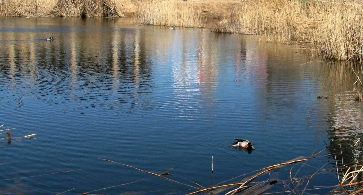 �����...� ...������ �����...) ����� Natali  ��������� �� PhotoGeek.ru #�������� ��� #������ ��� ������� #����� ��� ��� ���������