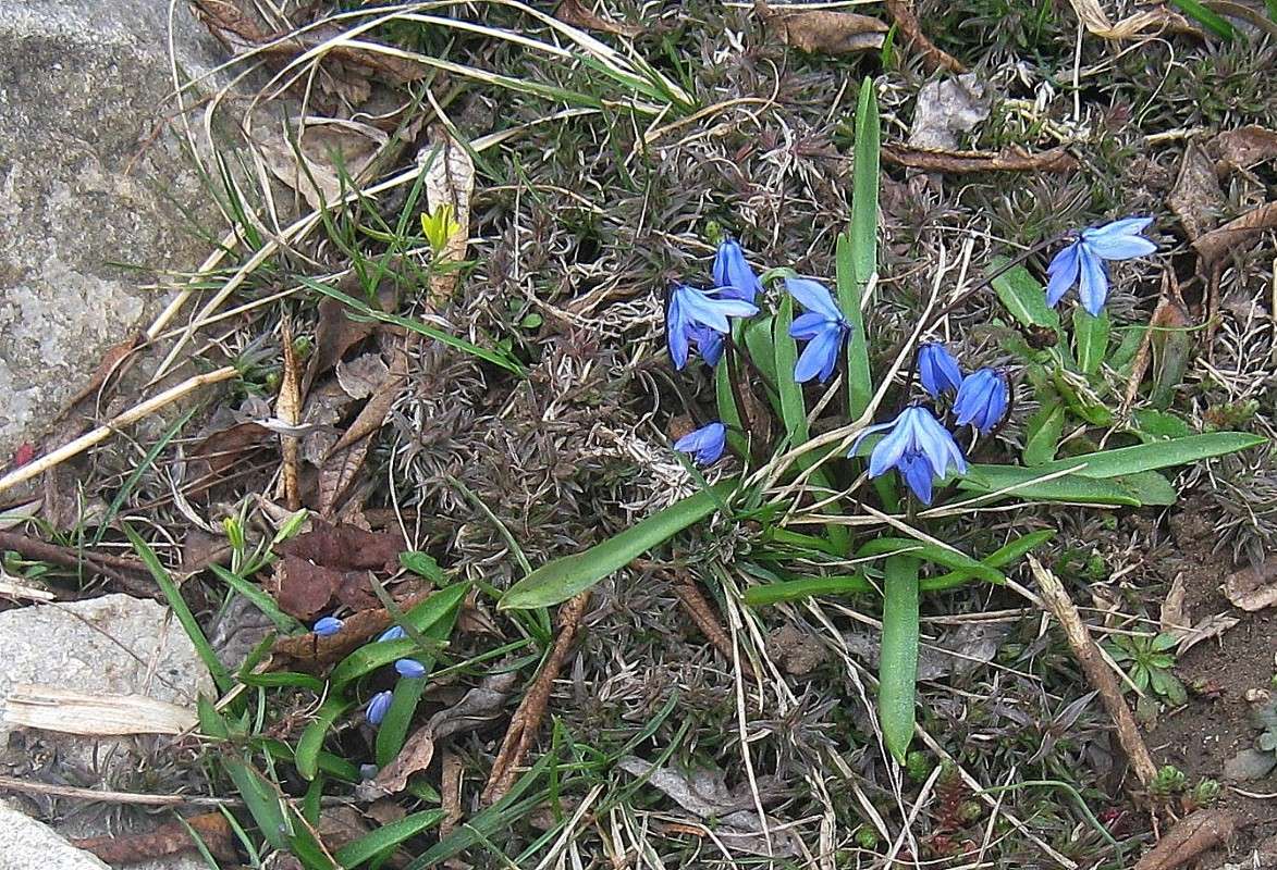 ������...��� �����..) ����� Natali  ��������� �� PhotoGeek.ru #������ ��� ������� #����� ��������������