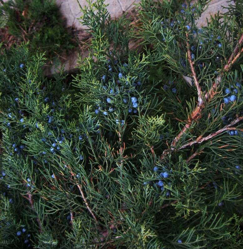 ... ����� Natali  ��������� �� PhotoGeek.ru #����� ��������������