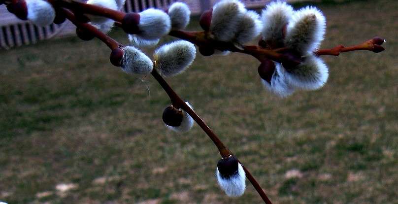 ... ����� Natali  ��������� �� PhotoGeek.ru #����� ��������������