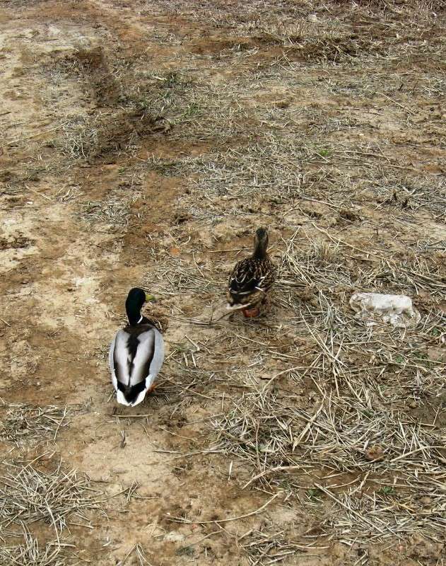 ������ �������.... ����� Natali  ��������� �� PhotoGeek.ru #�������� ��� #����� ��� ��� ���������