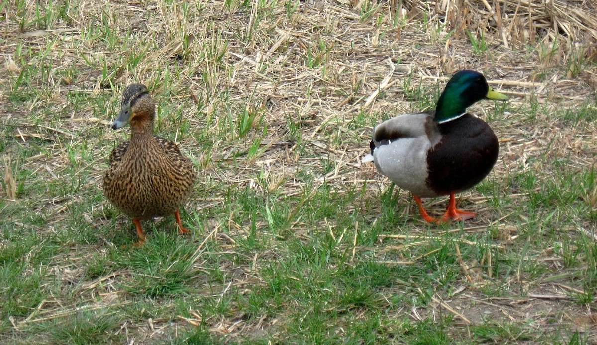 ��� �������� ����� Natali  ��������� �� PhotoGeek.ru #�������� ��� #����� ��� ��� ���������