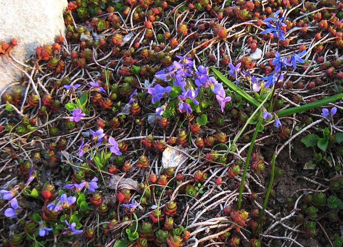 ��������� ���� ����� Natali  ��������� �� PhotoGeek.ru #������ ��� ������� #����� ��������������