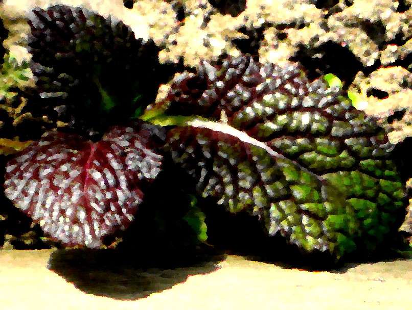 ... ����� Natali  ��������� �� PhotoGeek.ru #������ ��� ������� #����� ��������������