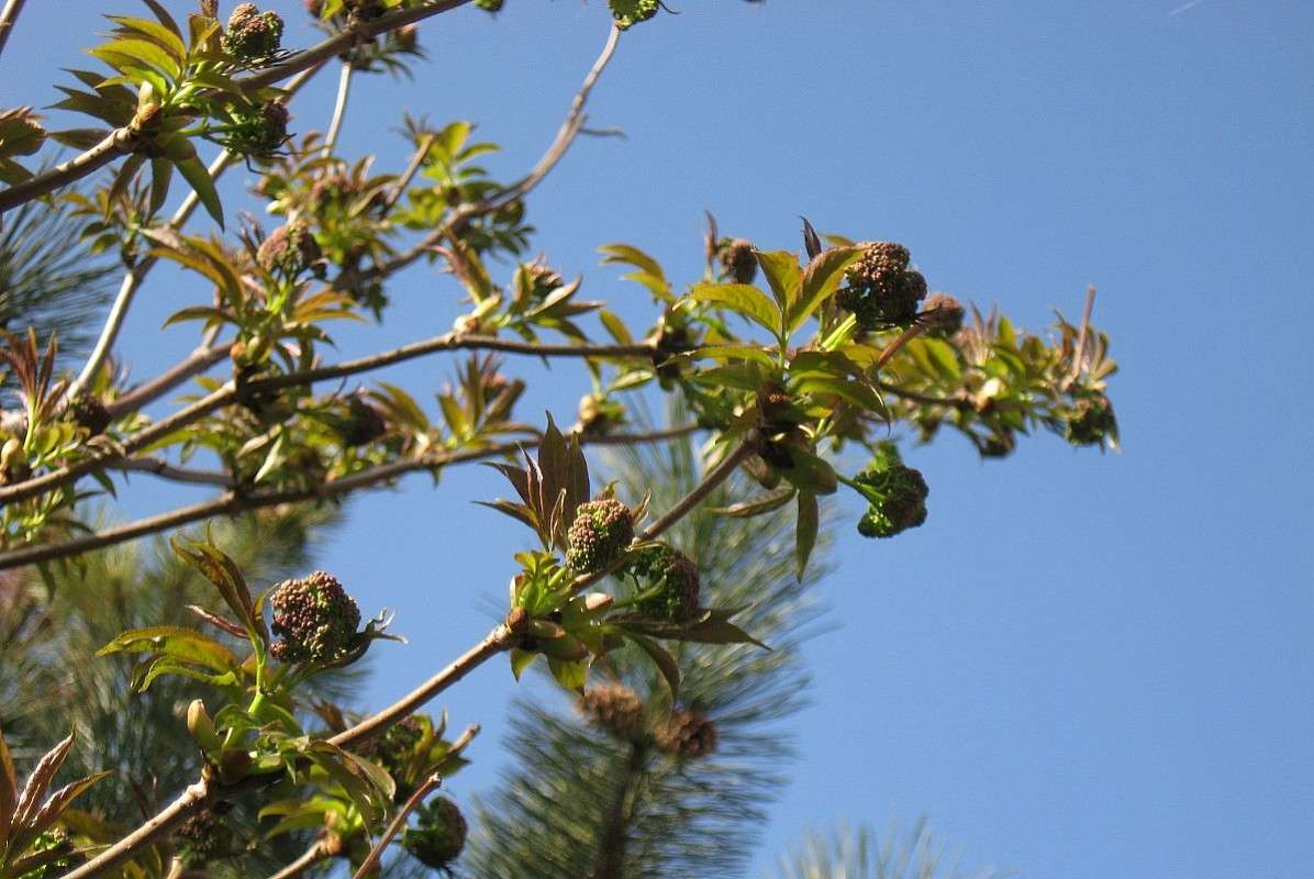 ... ����� Natali  ��������� �� PhotoGeek.ru #������ ��� ������� #����� ��������������