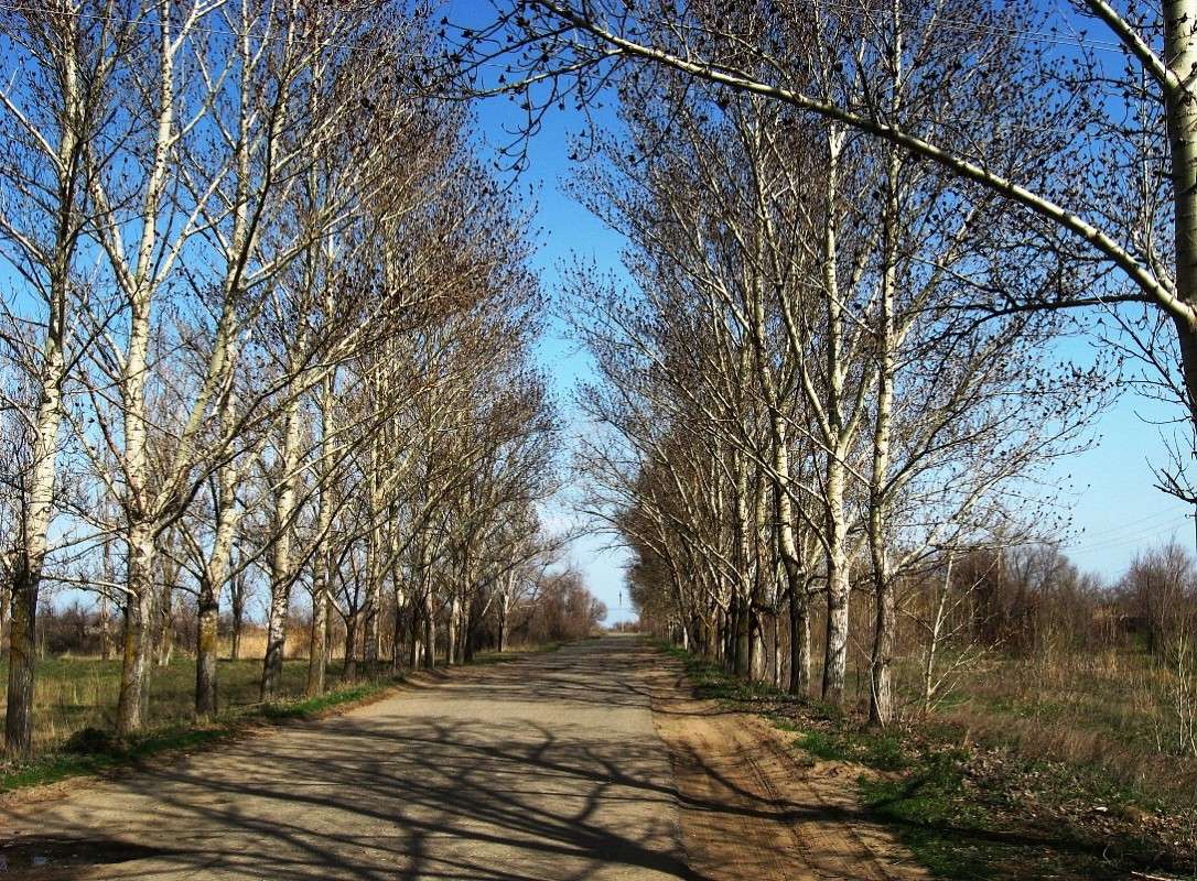 ������ ������ ����� Natali  ��������� �� PhotoGeek.ru #������ ��� ������� #����� ��������������