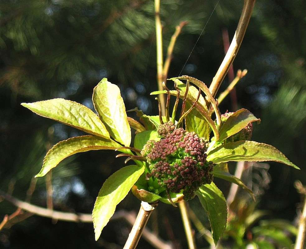 ... ����� Natali  ��������� �� PhotoGeek.ru #������ ��� ������� #����� ��������������