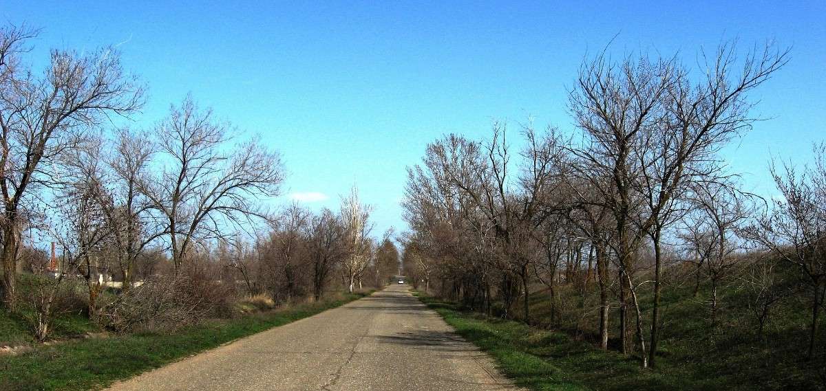 �����. ������ � ����... ����� Natali  ��������� �� PhotoGeek.ru #������ ��� ������� #����� ��������������