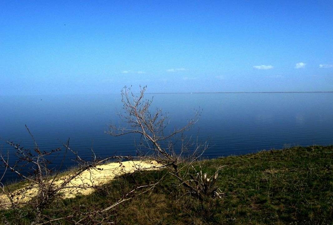 ��� ������ ...� ...����� !) ����� Natali  ��������� �� PhotoGeek.ru #������ ��� �������