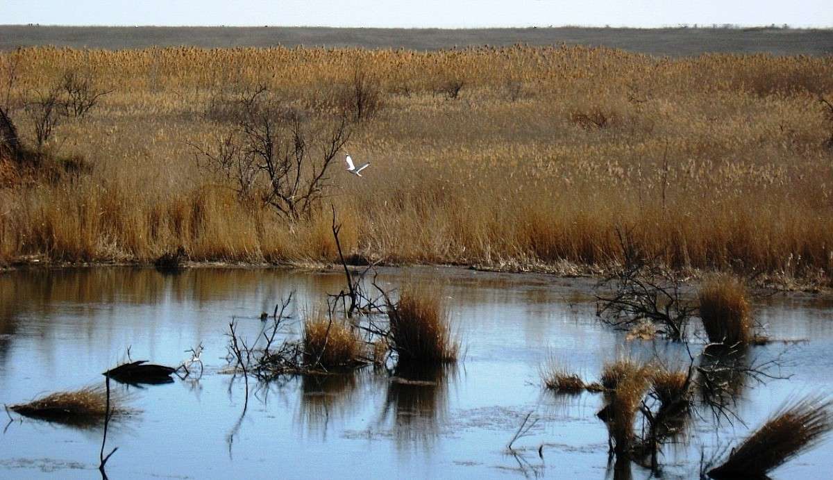 �������� �����, ��... ����� Natali  ��������� �� PhotoGeek.ru #�������� ��� #������ ��� ������� #����� ��������������