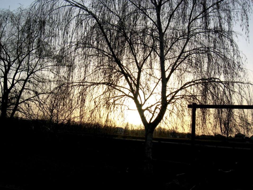 ����� ����� Natali  ��������� �� PhotoGeek.ru #������ ��� ������� #����� ��������������