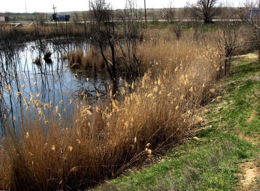 ����� � �������... ����� Natali  ��������� �� PhotoGeek.ru #������ ��� ������� #����� ��������������