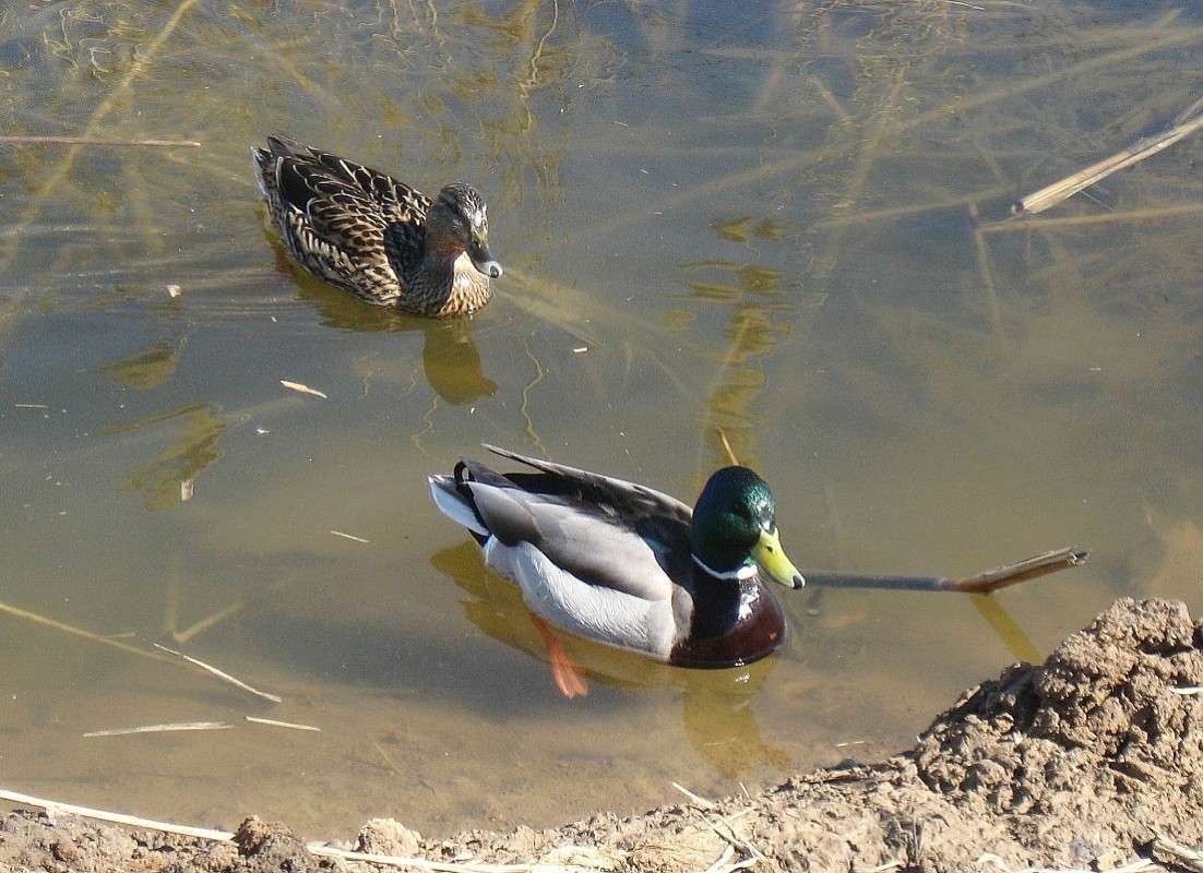 ... ����� Natali  ��������� �� PhotoGeek.ru #�������� ��� #����� ��� ��� ���������