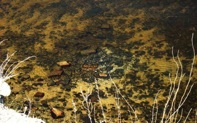 ������ �� ��� ���� ����� Natali  ��������� �� PhotoGeek.ru #������ ��� �������