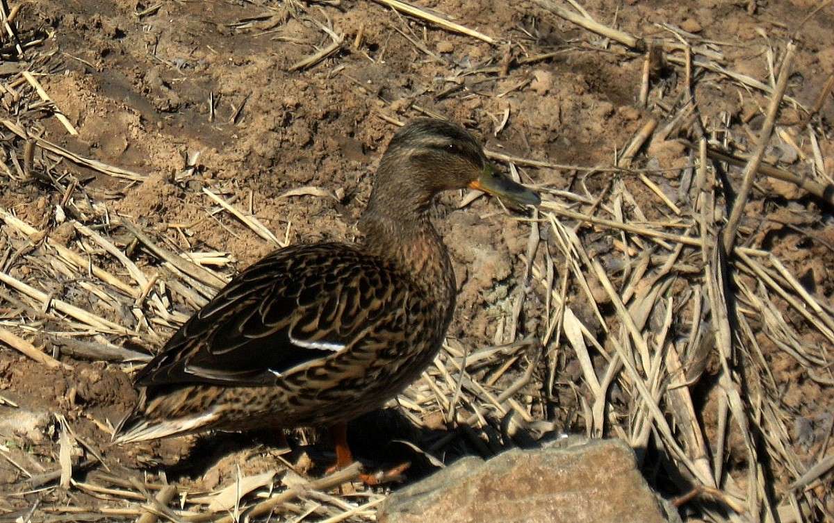 ... ����� Natali  ��������� �� PhotoGeek.ru #�������� ��� #����� ��� ��� ���������