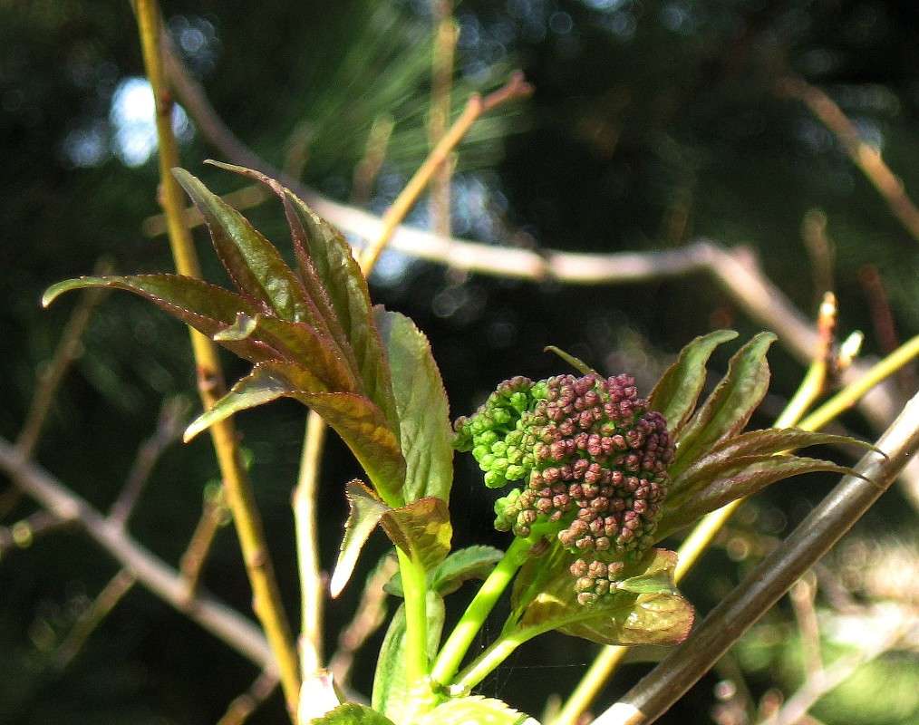 � ������� ������... ) ����� Natali  ��������� �� PhotoGeek.ru #������ ��� ������� #����� ��������������