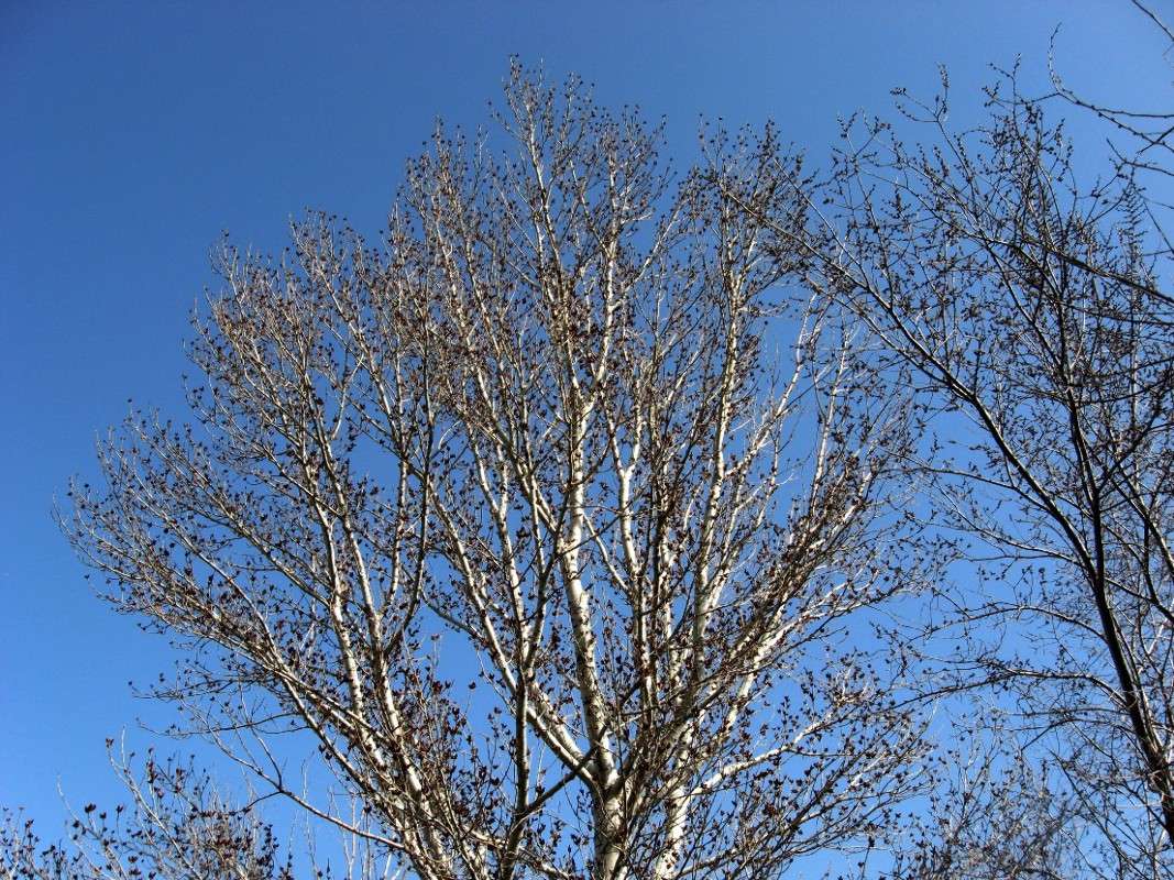 ������ ��������.... ����� Natali  ��������� �� PhotoGeek.ru #������ ��� ������� #����� ��������������