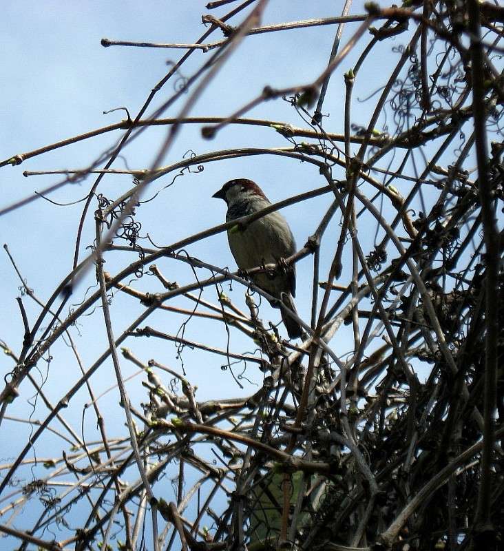 ... ����� Natali  ��������� �� PhotoGeek.ru #�������� ��� #������ ��� �������