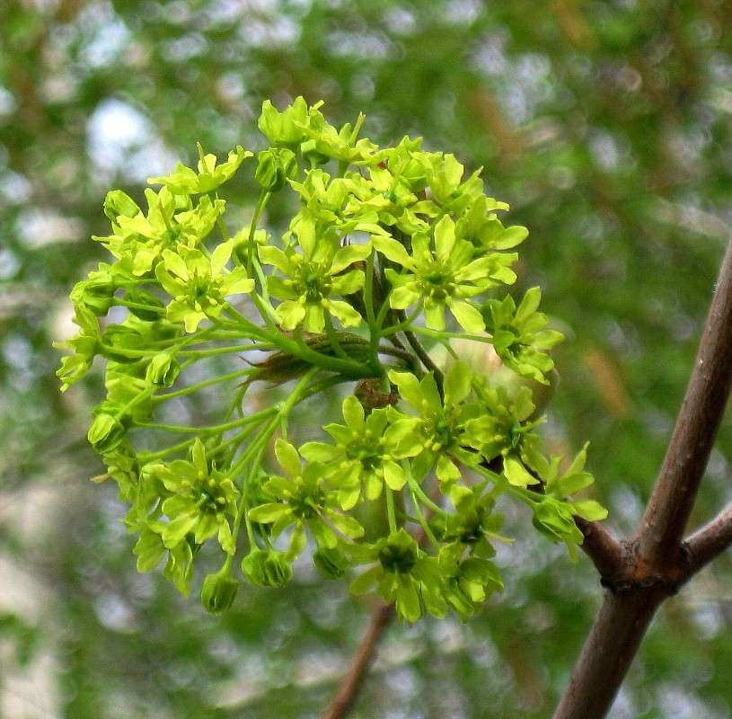 ... ����� Natali  ��������� �� PhotoGeek.ru #������ ��� ������� #����� ��������������