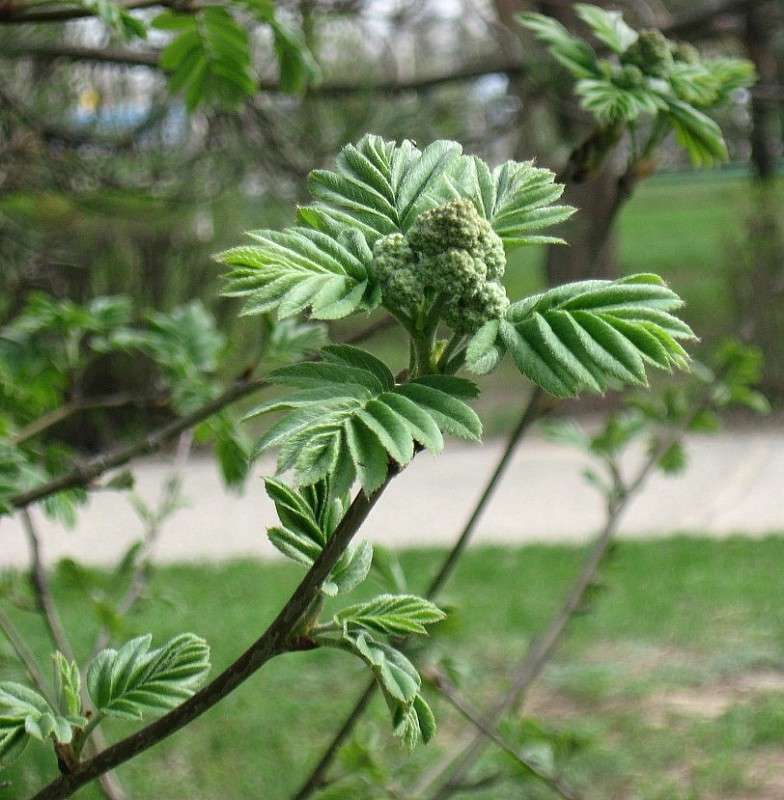 ... ����� Natali  ��������� �� PhotoGeek.ru #������ ��� ������� #����� ��������������