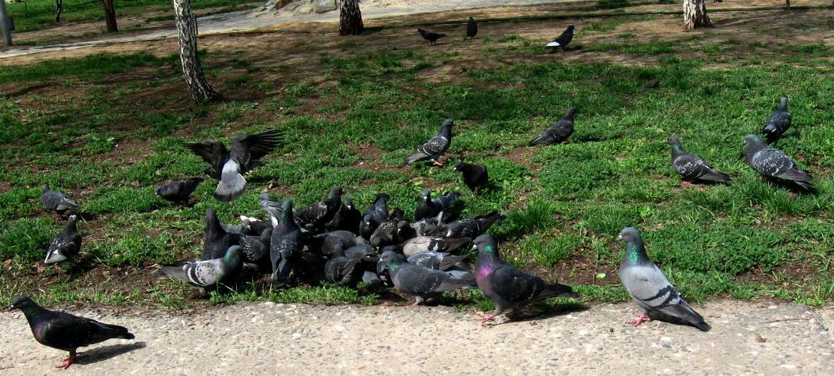 ��� � ����� ����� Natali  ��������� �� PhotoGeek.ru #�������� ��� #������ ��� �������