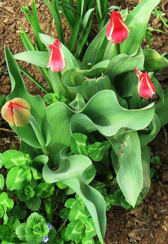 ... ����� Natali  ��������� �� PhotoGeek.ru #������ ��� ������� #����� ��������������