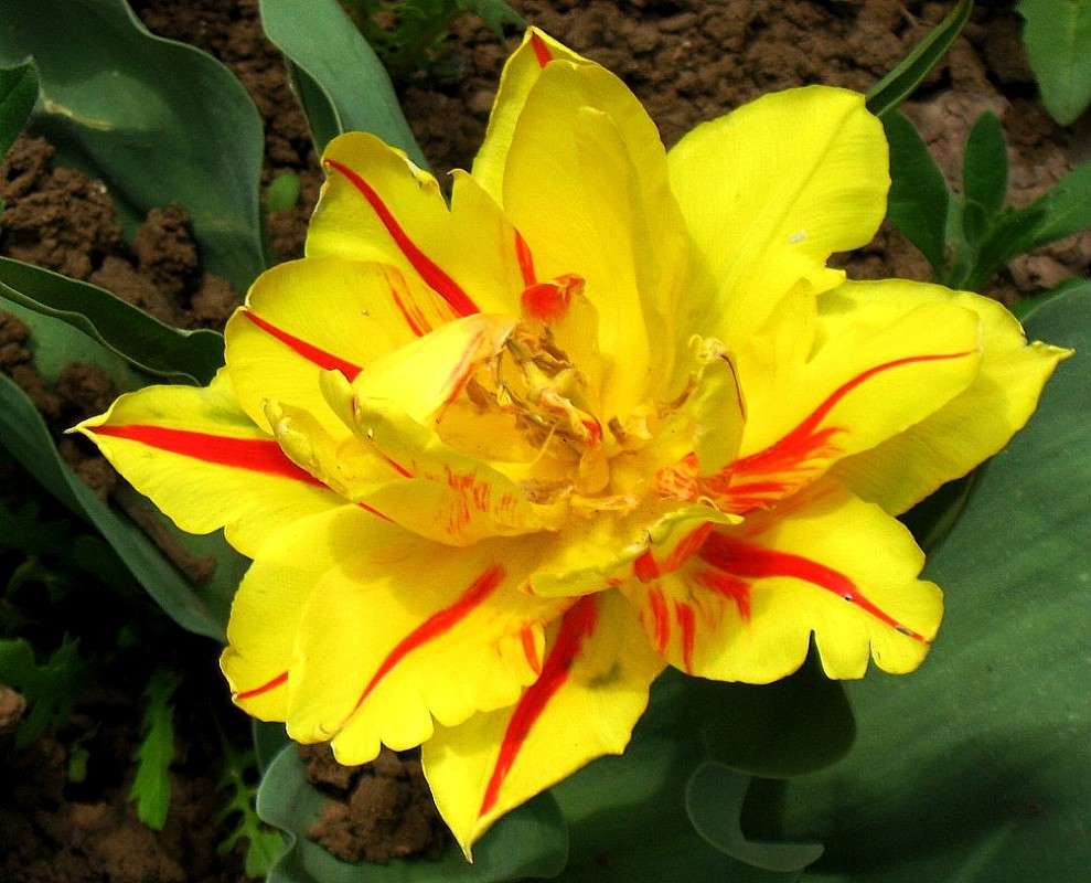 ... ����� Natali  ��������� �� PhotoGeek.ru #������ ��� ������� #����� ��������������