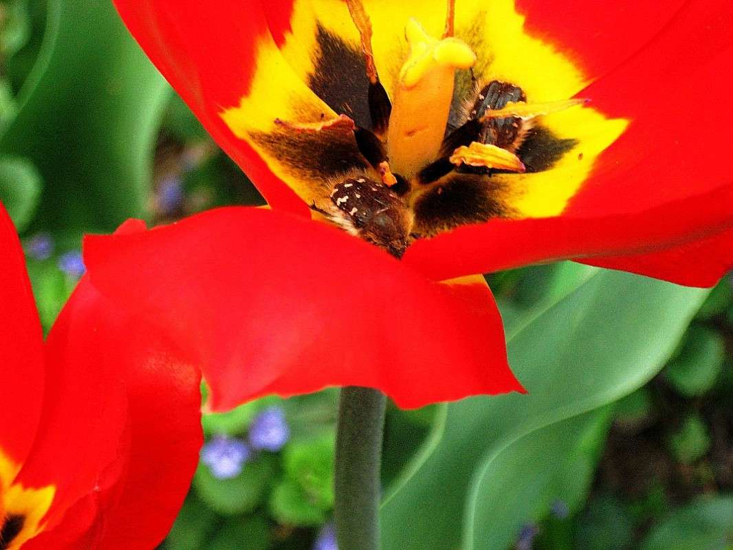 ... ����� Natali  ��������� �� PhotoGeek.ru #������ ��� �������