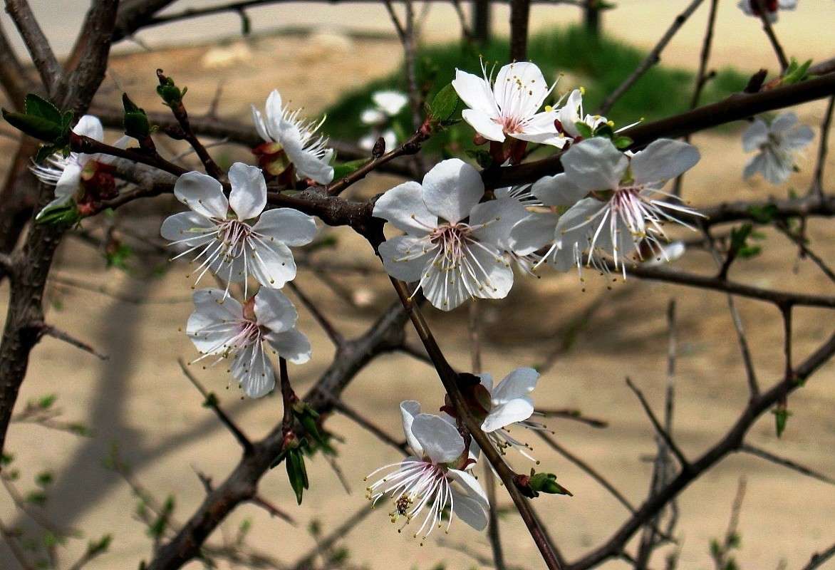 ... ����� Natali  ��������� �� PhotoGeek.ru #������ ��� ������� #����� ��������������