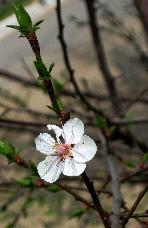 ... ����� Natali  ��������� �� PhotoGeek.ru #������ ��� ������� #����� ��������������