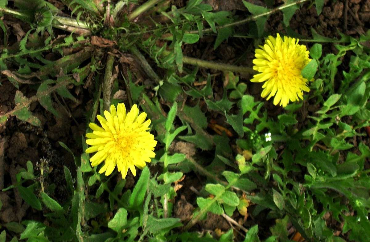 ... ����� Natali  ��������� �� PhotoGeek.ru #������ ��� ������� #����� ��������������