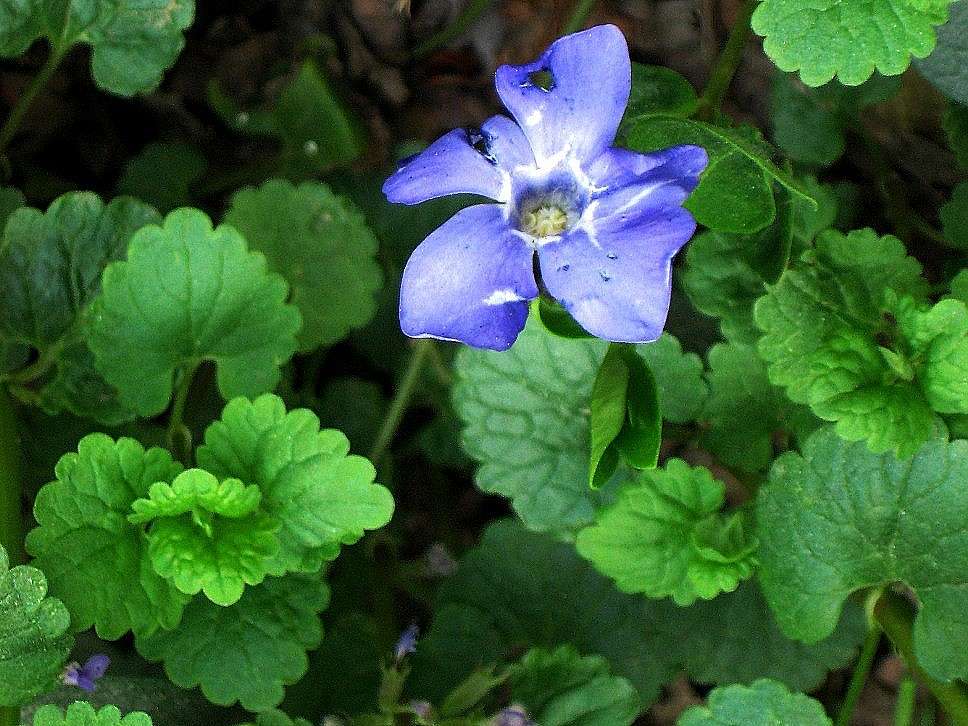 ... ����� Natali  ��������� �� PhotoGeek.ru #������ ��� ������� #����� ��������������